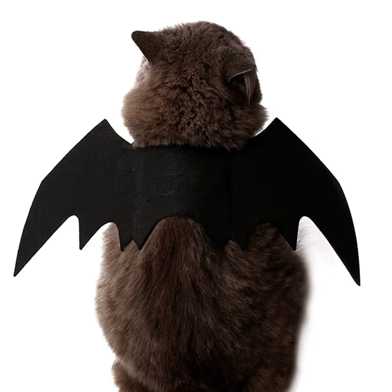 Pawby BatWings